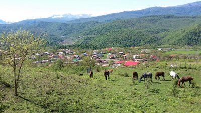 سواد-کوه-روستای-اتو-284512