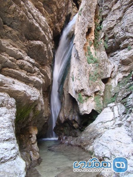 دره چناران