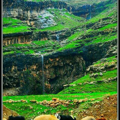 بدره-روستای-کلم-286714