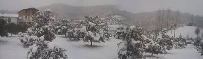 شیرگاه-روستای-چالی-287233