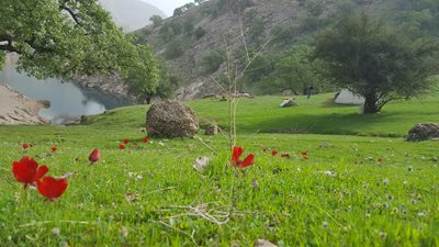 اندیکا-روستای-کوشک-اندیکا-287610