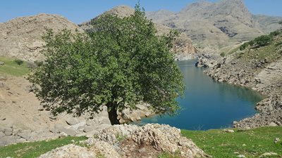 اندیکا-روستای-کوشک-اندیکا-287613