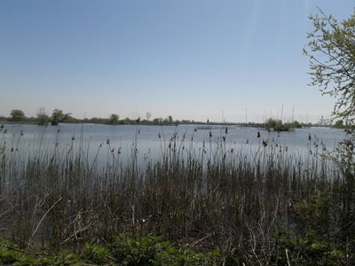 بابلسر-آب-بندان-رودبست-288807