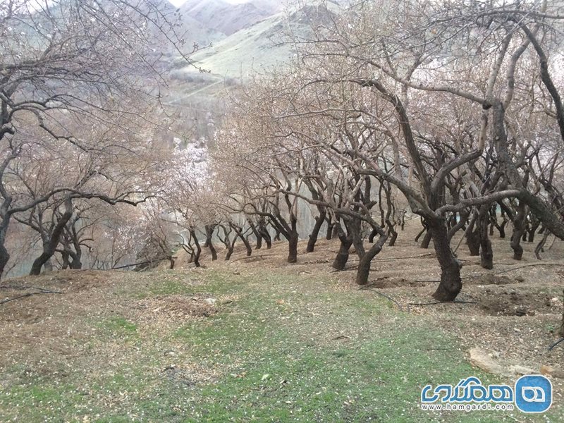 روستای مارکده