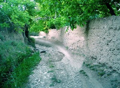 روستای الویر