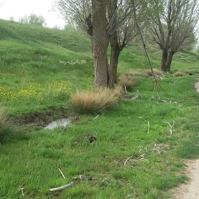 سراب-سراب-روستای-سردها-290665