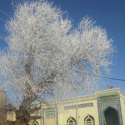 سراب-سراب-روستای-سردها-290691