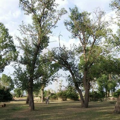 سراب-سراب-روستای-سردها-290685