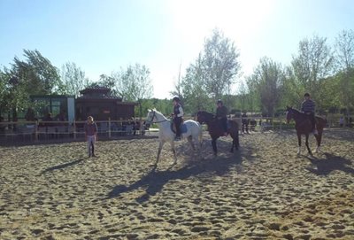 پارک آبی اسب سواری Equestrian Club Water Park