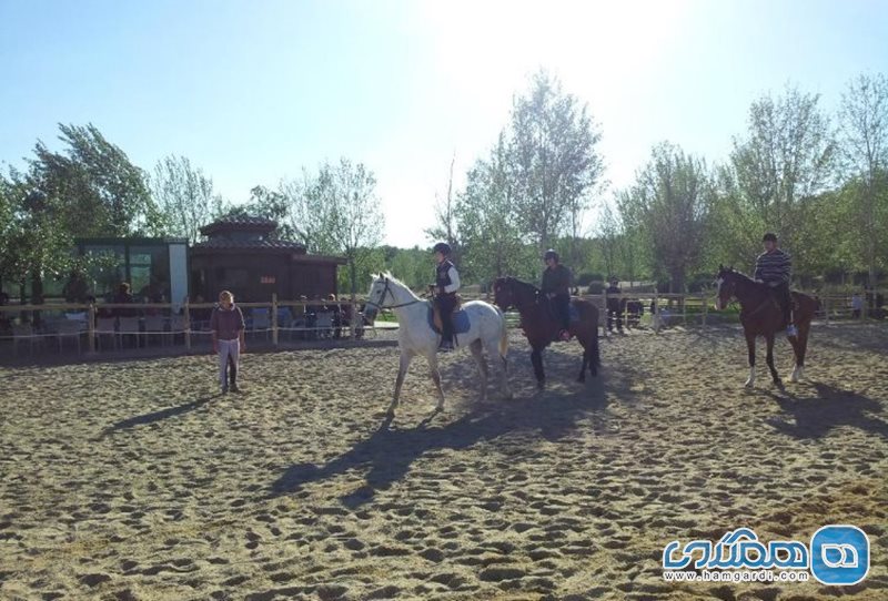 پارک آبی اسب سواری Equestrian Club Water Park