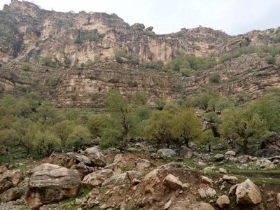 ایوان-دره-دانوک-292329