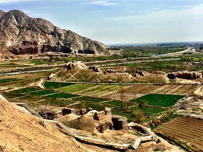 ری-دژ-رشکان-293197