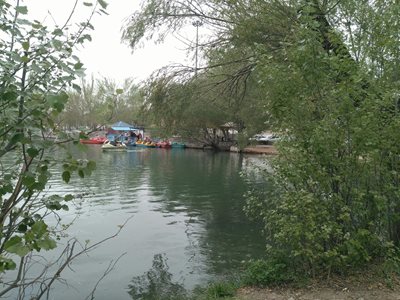 بن-گرداب-بن-293240