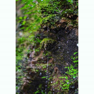 رشت-آبشار-دودوزن-خرمکش-295908