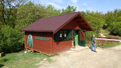 منطقه حفاظت شده خرس های براشوو Libearty Bear Sanctuary Zarnesti