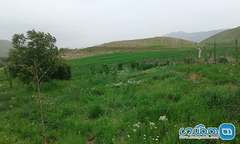 روستای سراب هنام