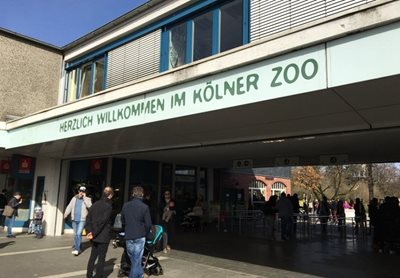 کلن-باغ-وحش-کلن-Koelner-Zoo-300777