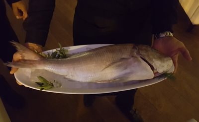 رباط-رستوران-طلایی-رباط-Golden-Fish-301205