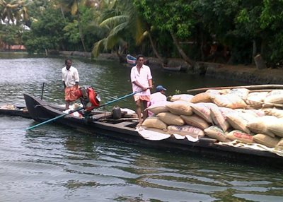 کرالا-سواحل-کرالا-Kerala-Backwaters-301519