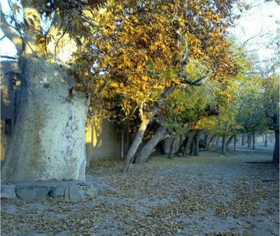 اردستان-روستای-سرابه-302123