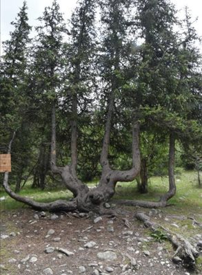 بیشکک-پارک-ملی-آلا-آرچای-بیشکک-Ala-Archa-National-Park-302839