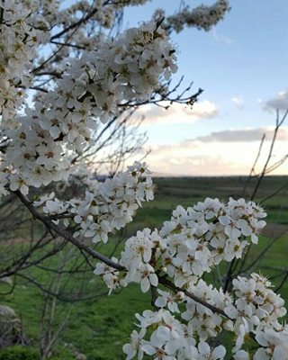 اردبیل-روستای-قلعه-جوق-سبلان-305130