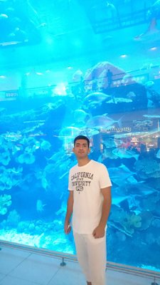 دبی-آکواریوم-دبی-Dubai-Aquarium-Underwater-Zoo-305332