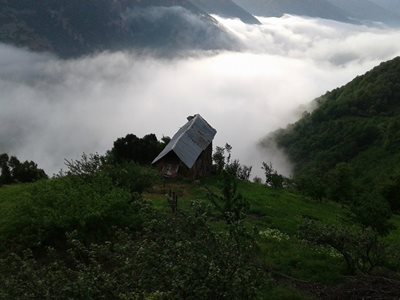 رحیم-آباد-روستای-تلیکان-305439