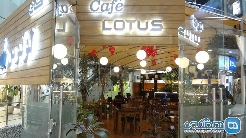 کافه لوتوس