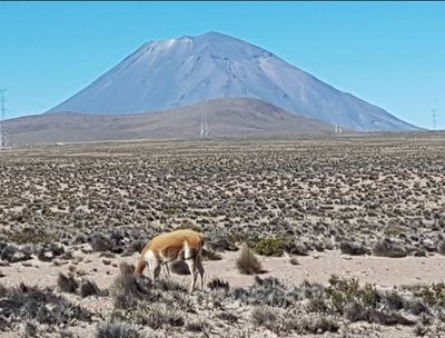 آره-کویپا-کوهستان-ال-میستی-آره-کویپا-El-Misti-307755