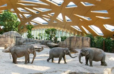 زوریخ-باغ-وحش-زوریخ-Zoo-Zurich-311023