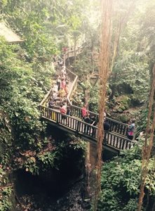 اوبود-جنگل-میمون-ای-اوبود-Sacred-Monkey-Forest-Sanctuary-311744