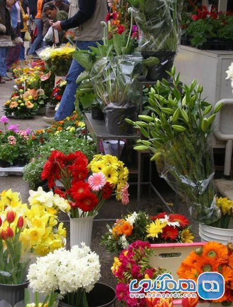 بازار خیابانی سبز اسپلیت Green Market