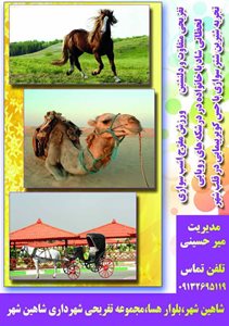 شاهین-شهر-کمپ-توریستی-و-گردشگری-شرق-312942