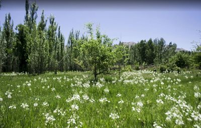 هفشجان-دهکده-سنتی-توریستی-و-اقامتی-هفشجان-314952