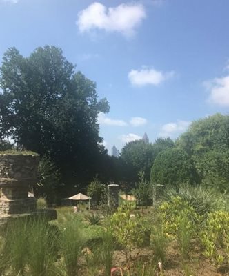 باغ گیاه شناسی آتلانتا Atlanta Botanical Garden