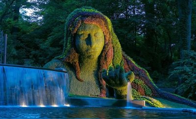 آتلانتا-باغ-گیاه-شناسی-آتلانتا-Atlanta-Botanical-Garden-315451