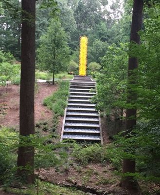 آتلانتا-باغ-گیاه-شناسی-آتلانتا-Atlanta-Botanical-Garden-315452