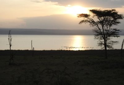 ناکورو-دریاچه-ناکورو-Lake-Nakuru-315928