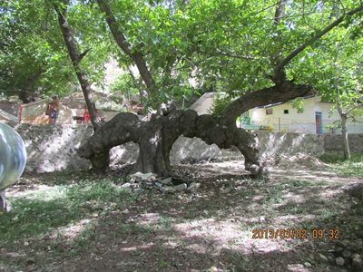 رابر-روستای-بندر-هنزا-316251