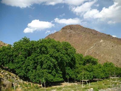 رابر-روستای-بندر-هنزا-316250