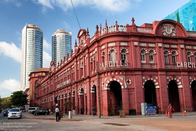 کلمبو-باغ-وحش-Dehiwala-کلمبو-316902