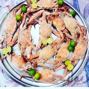 قشم-غذای-دریایی-محمد-تاخره-317507