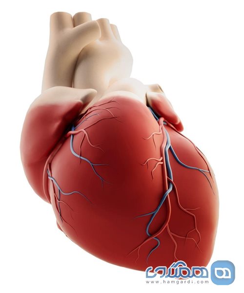 مطب دکتر محمود هادی زاده