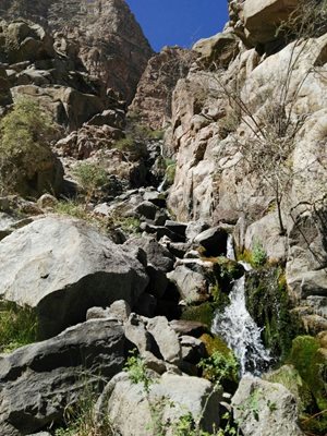 مهریز-آبشار-دامگاهان-318270