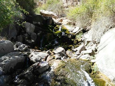مهریز-آبشار-دامگاهان-318276