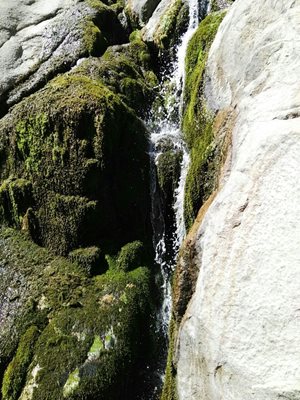 آبشار دامگاهان
