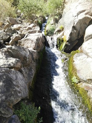 مهریز-آبشار-دامگاهان-318532