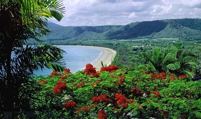 کنز-دیواره-ی-بزرگ-مرجانی-کنز-Great-Barrier-Reef-319026