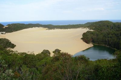 کنز-جزیره-فریزر-کنز-Fraser-Island-319043